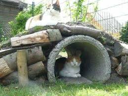 Winter Shelter for Feline Friends